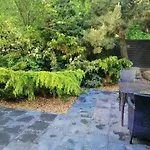 Sonnenschein * Insel Poel