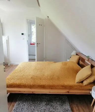 Sonnenschein * 因塞尔波埃尔